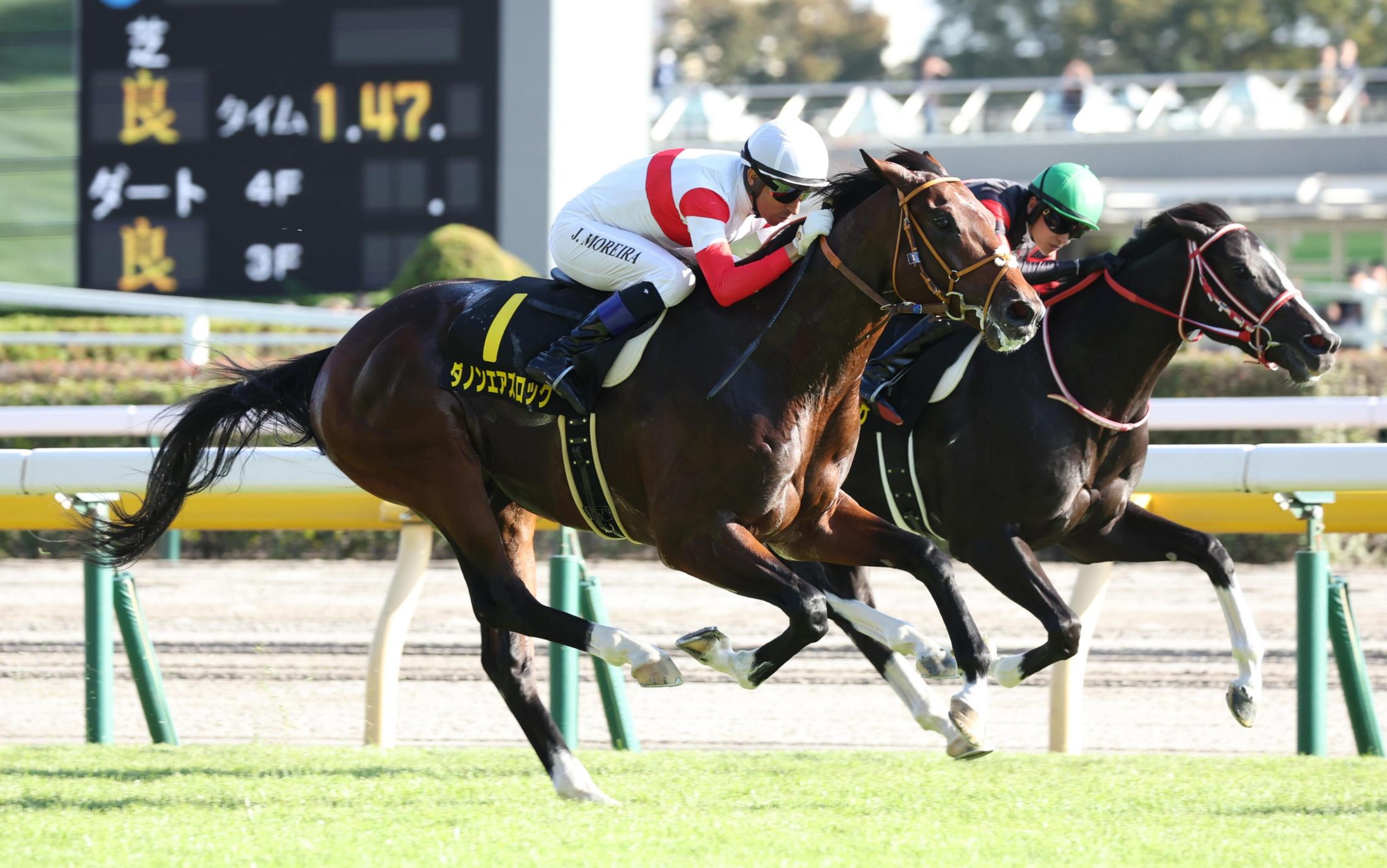 東京９ＲアイビーＳで珍事　単勝配当を複勝が上回る