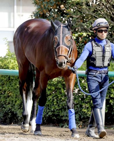 菊花賞】ダービー馬タスティエーラは2着 G1連勝ならず | 競馬ニュース