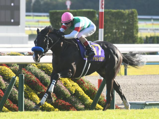 菊花賞結果】ドゥレッツァ圧勝！5連勝で最後の1冠奪取！ | 競馬