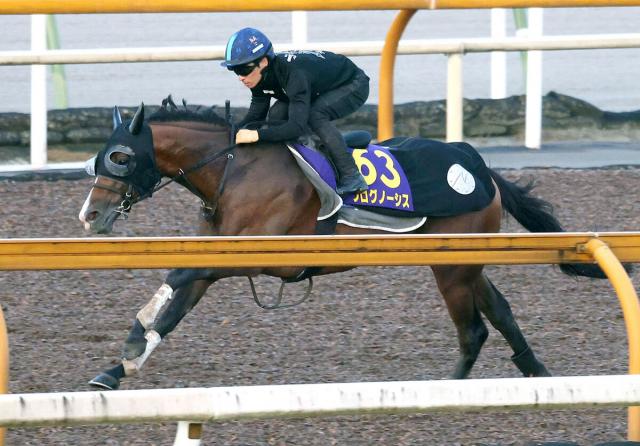 【天皇賞秋・西山の特注馬】意外にも東京初参戦のプログノーシス　末脚が生きる舞台で魅力は十分