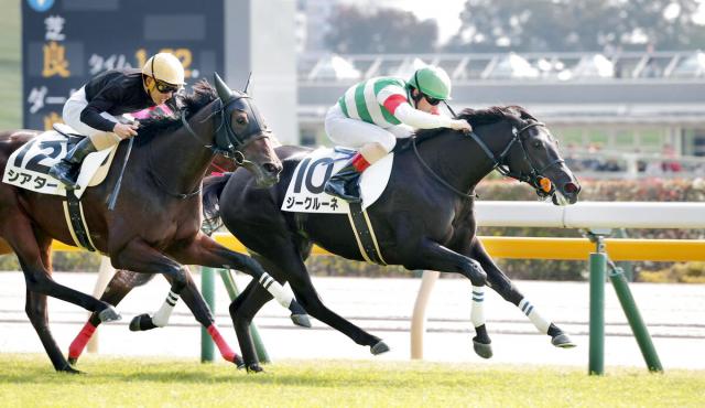 Debut Victory for Skillving’s Half-Sister, Zi Grune