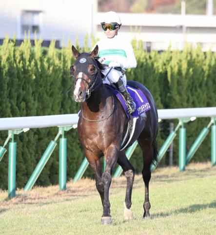 マイルCS】ソウルラッシュ首差2着 モレイラは勝ち馬に脱帽「1頭強い馬