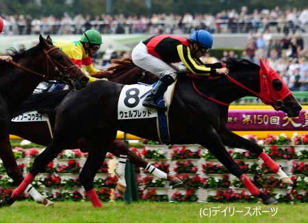 ウェルブレッドが初陣飾る、ルメール「ペースがスローだなと思ったので」/東京新馬