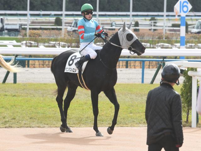 Ｍ．デムーロ,M.デムーロ,ミルコ・デムーロ,ミルコ 競馬記事一覧 | 競馬まとめ - netkeiba.com