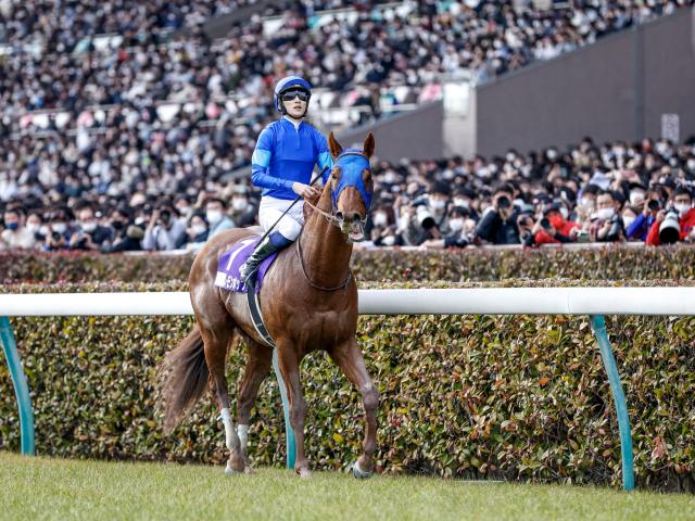 【チャンピオンズC予想】波乱は「急上昇」付いた伏兵の一発!? 「調子偏差値」で人気上位馬のデキをチェック！