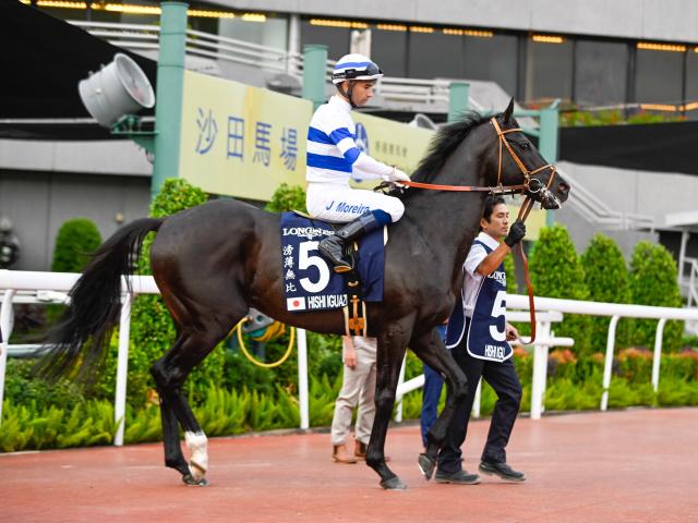 香港国際競走（香港ヴァーズ・香港スプリント・香港マイル・香港カップ