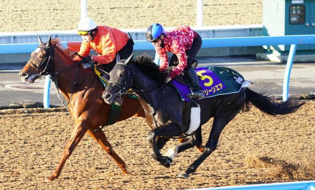 【朝日杯FS】クリーンエア　鮫島駿も手応え併入、上原博師「ここでもやれる力はある」