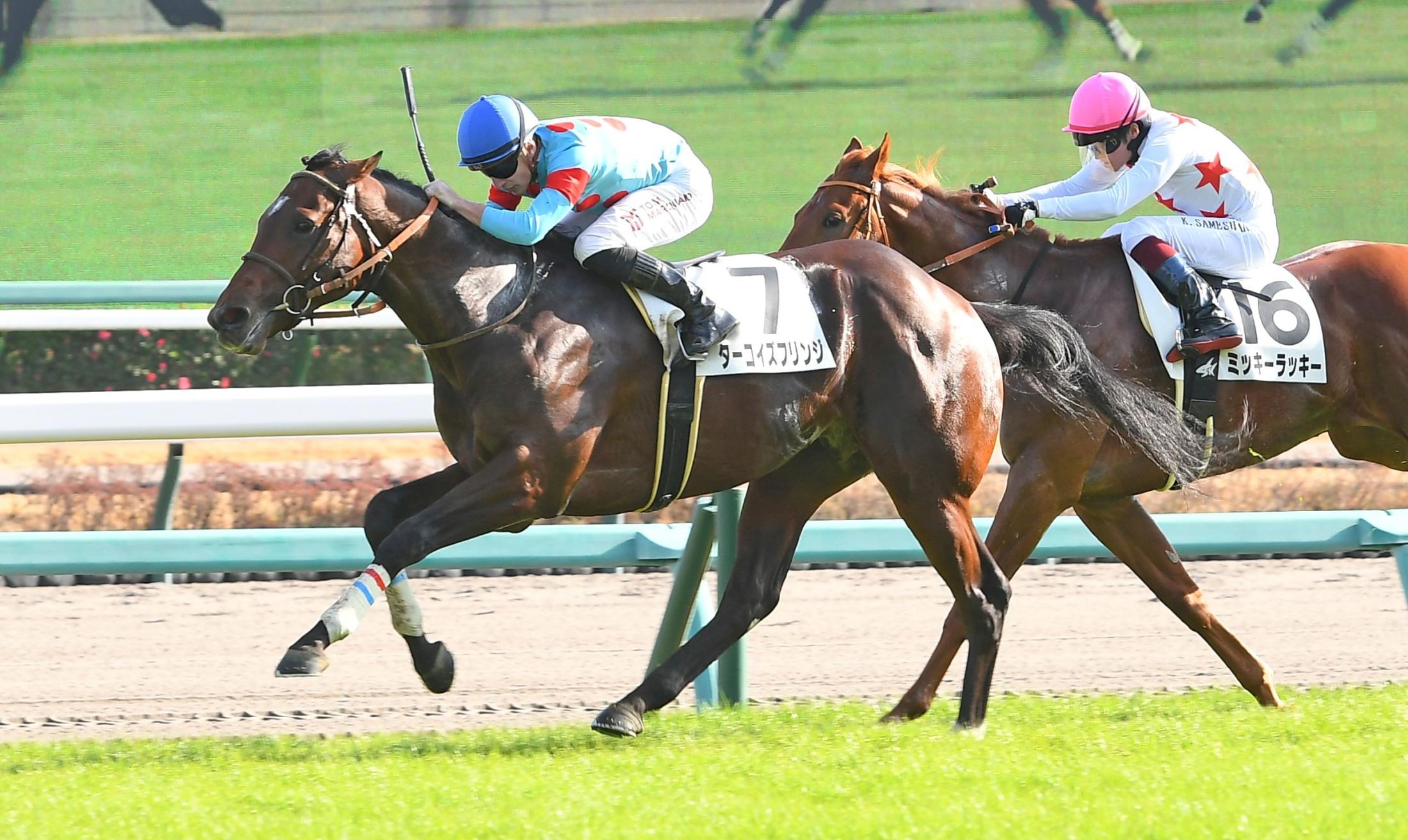 【新馬戦】ターコイズフリンジ　豪快に差し切り　ンダホ所有のワンダホーは１５着