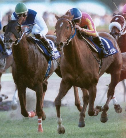 【有馬記念】20世紀の最後を締めたテイエムオペラオーの一年