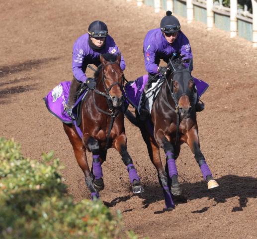 【有馬記念】ヒートオンビート　回転速くグイグイ加速!友道師「夏を越してからも順調に来ています」