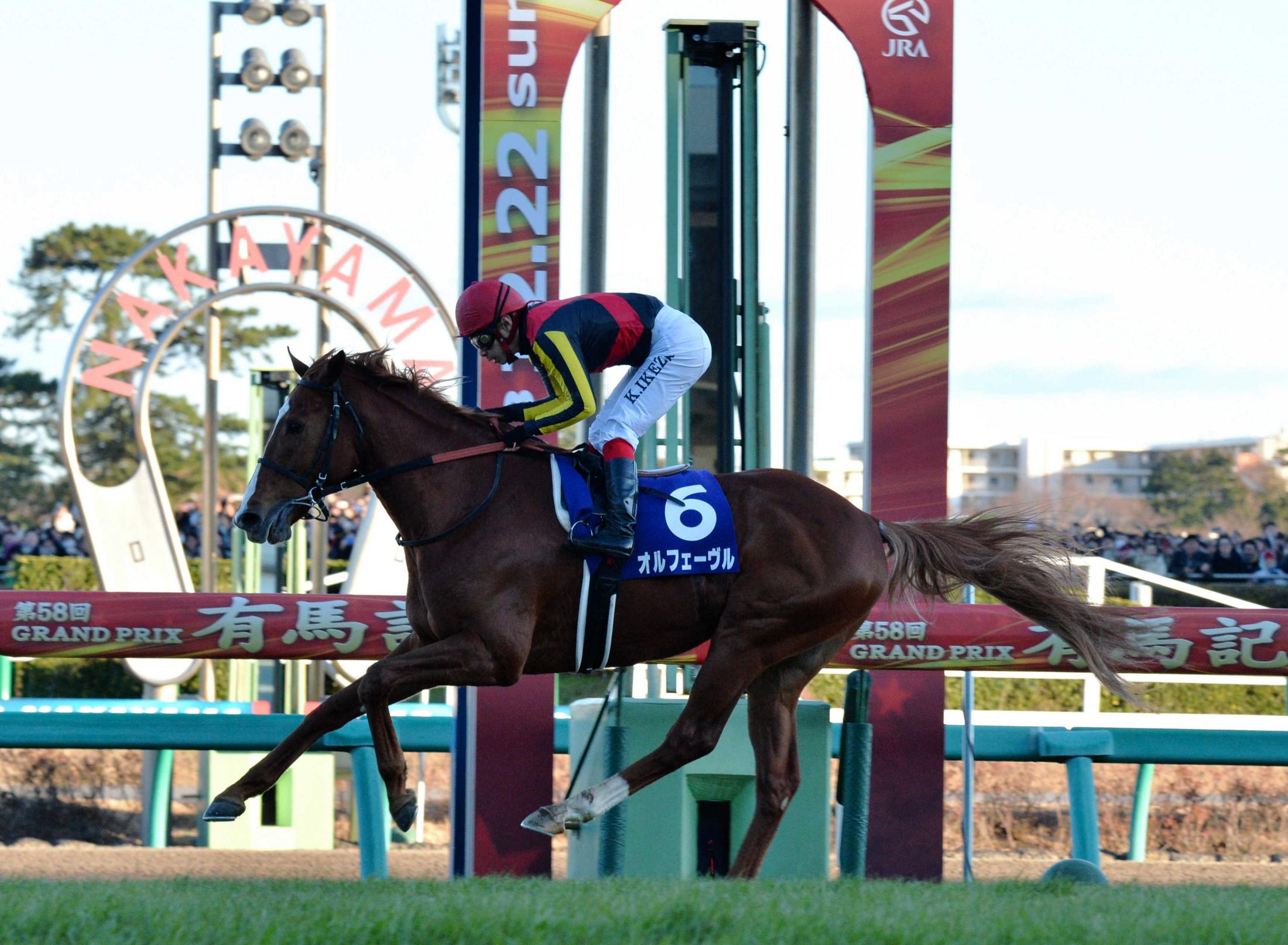 有馬記念】強烈な印象をターフに残した“金色の暴君”オルフェーヴル | 競馬ニュース - netkeiba