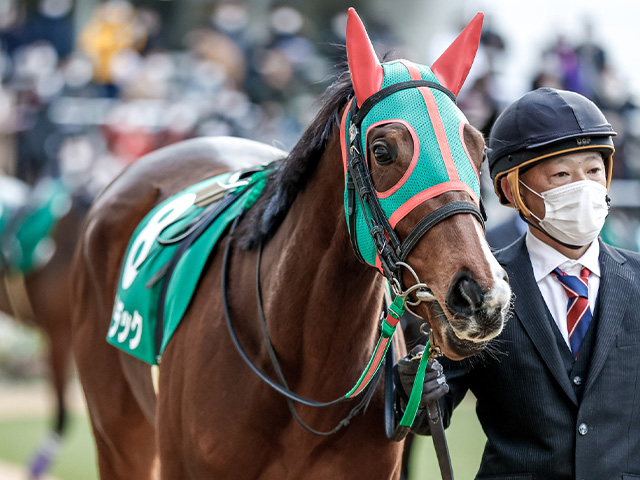 【有馬記念】16頭の香港馬名・馬名意味を紹介！『北島名花』『鍵琴高奏』はどの馬？