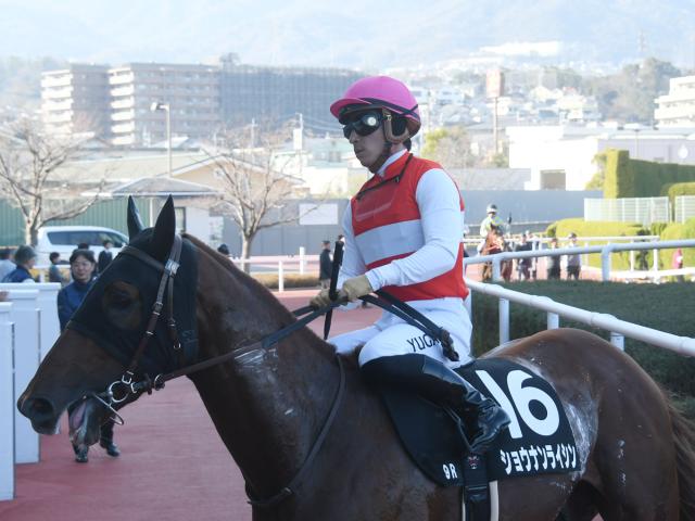 【春待月賞レース後コメント】ショウナンライシン川田将雅騎手ら