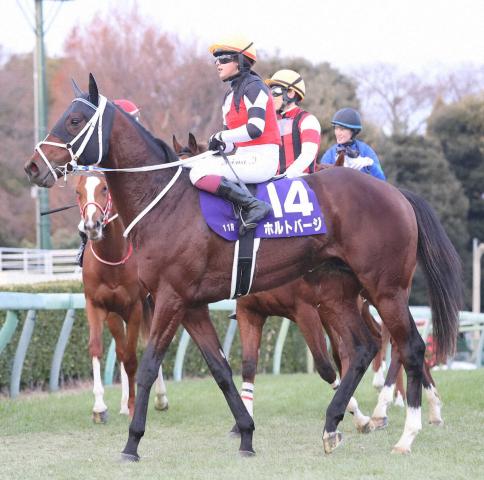 藤田菜七子騎手のニュース・最新情報 | 競馬まとめ - netkeiba.com