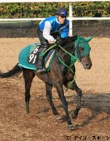 青葉賞・有力馬情報(1)トップカミング