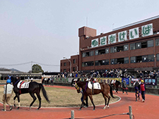 レースが行われた佐賀競馬場(c)netkeiba