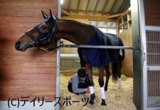 【阪神JF】抽選突破組(1)ロカ