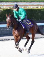 交流重賞２勝目を狙うノットゥルノ