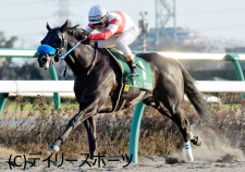 【カペラS】快逃!ダノンレジェンドが大楽勝