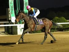 武豊騎手騎乗のノットゥルノが勝利(提供：佐賀県競馬組合)