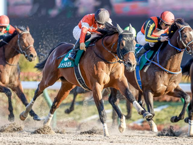 【AI予想・フェブラリーS】多種多様なメンバーで大混戦！ 人工知能は衰え知らずのベテランに◎