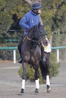 【小倉大賞典】エピファニーが差し切り重賞初V 杉原誠人騎手「気持ちよかったです」 競馬ニュース netkeiba