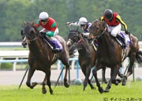 天皇賞・春は12番人気の伏兵マイネルキッツが大金星