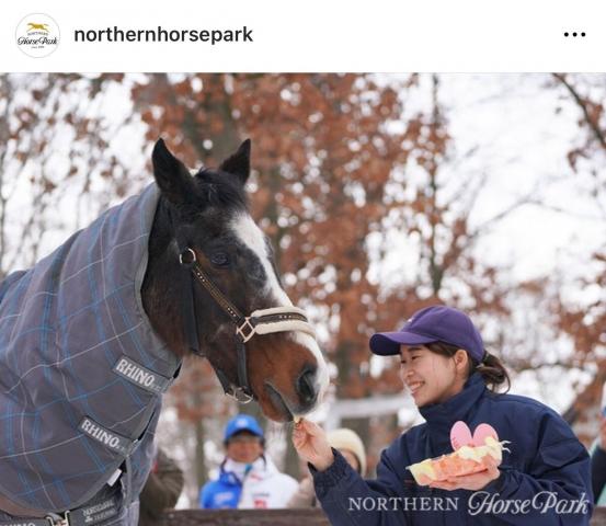 Ρۡѡθ󥹥ʡnorthernhorseparkˤ