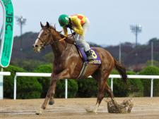たんぽぽ賞を制したコウユーカメサンヨ(提供：佐賀県競馬組合)