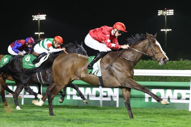 【ネオムターフC】キラーアビリティが2着死守　日本勢を封じた勝ち馬は元マンチェスターU監督の生産馬