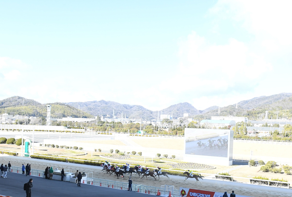 姫路競馬　複勝の払い戻しが単勝を上回る珍事　単勝元返し　複勝１１０円にファン驚き「必死に予想したのに」馬連も馬単を上回る