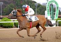 圧巻の末脚で重賞初勝利を目指すジョンソンテソーロ（佐賀県競馬組合提供）