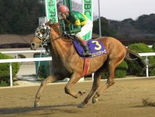 九州クラウンを制したジョンソンテソーロ(写真提供：佐賀県競馬組合)