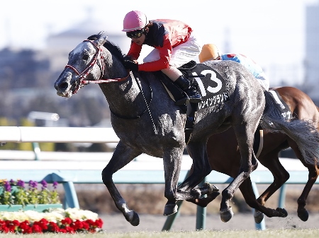 レンイングランドが逃げ切り ダート 芝で連勝 クリスマスローズs 競馬ニュース Netkeiba Com