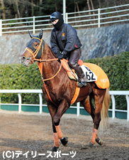 【京都金杯】有力馬情報(1)グランデッツァ