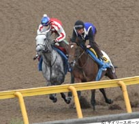 ヴィクトリアマイル木曜追い切り情報(1)ジョリーダンス