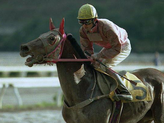 メジロカンムリの仔、ディープキッスが勝ち上がり | 競馬ニュース