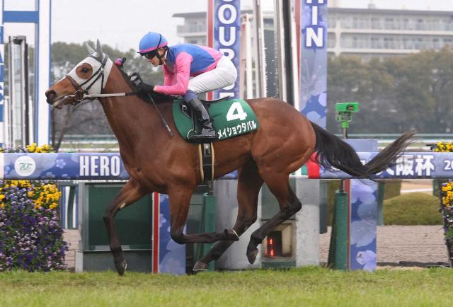 メジロカンムリの仔、ディープキッスが勝ち上がり | 競馬ニュース