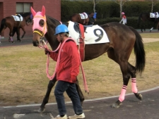 得意の舞台で重賞制覇を狙うアンバラージュ(ユーザー提供：だまさん)