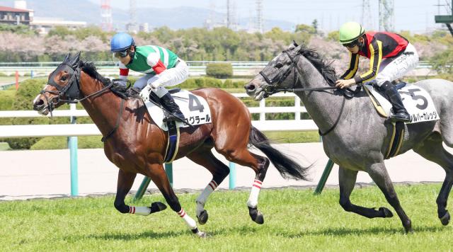【阪神6R】良血馬ログラールが2勝目をマーク　北村友一騎手「返し馬から乗りやすかった」