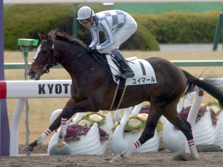ユイマールが5馬身差の逃げ切りv 京都新馬 競馬ニュース Netkeiba Com