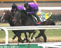ディープ、阪神大賞典へ2週前追い切りなど