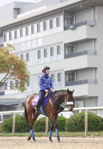 【天皇賞・春】サリエラ　53年以来牝馬Vへ、陣営「予定通り調教もこなしています」