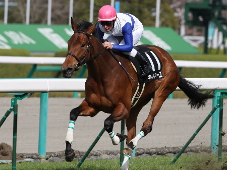 キャトルフィーユは小倉大賞典、タガノグランパは中山記念へ/次走報