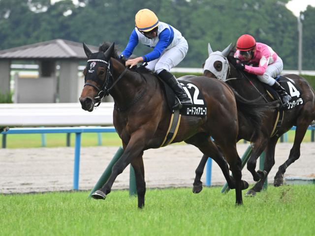 Ｍ．デムーロ,M.デムーロ,ミルコ・デムーロ 競馬記事一覧 | 競馬まとめ - netkeiba.com