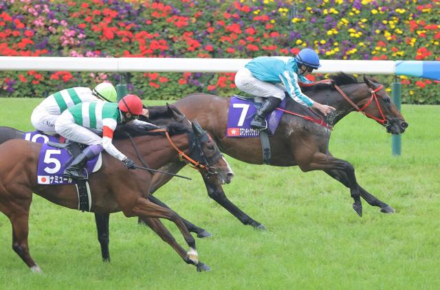 【安田記念】3年連続参戦のソウルラッシュ猛追も及ばず3着　G1初制覇ならず