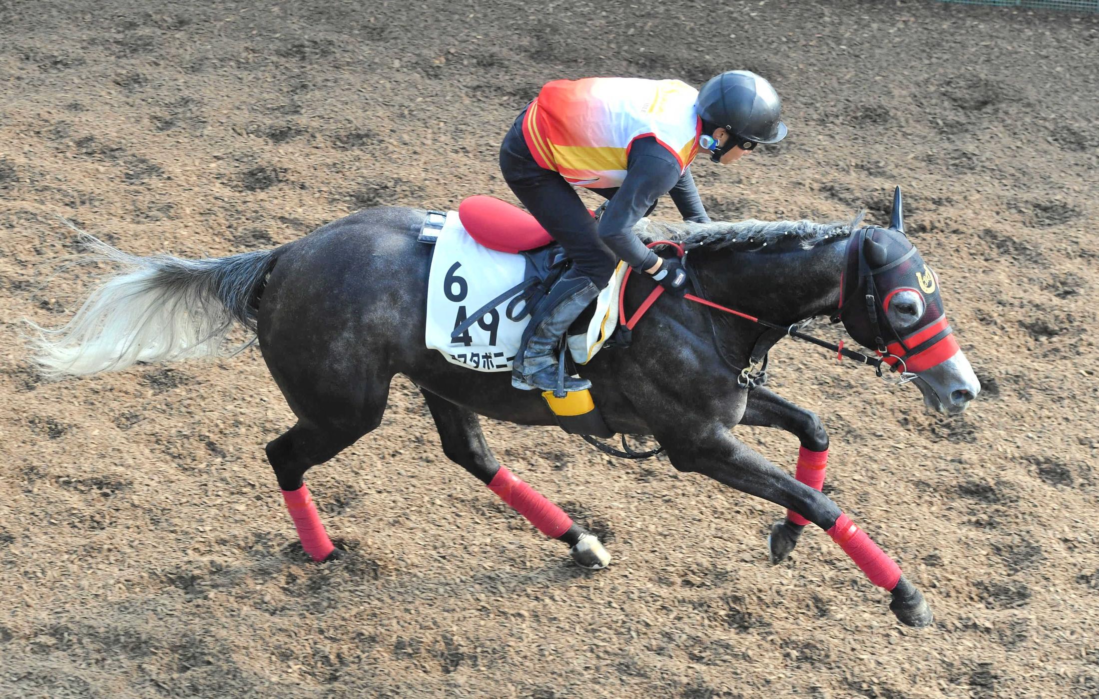 オークス、外国産馬ローブデコルテが差し切り | 競馬ニュース - netkeiba