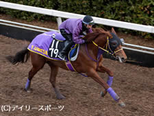 ニュース検索 競馬ニュース Netkeiba Com