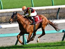 ラジオNIKKEI賞に出走予定のアレグロブリランテ(ユーザー提供：ぷいっぷいっぷーさん)