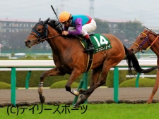 ニュース検索 競馬ニュース Netkeiba Com